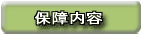 �ۏ���e