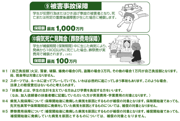 �ۏ���e